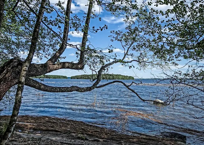 Villa Jolla Padasjoki